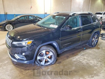 Jeep Cherokee 2019 1C4PJMDN3KD151094