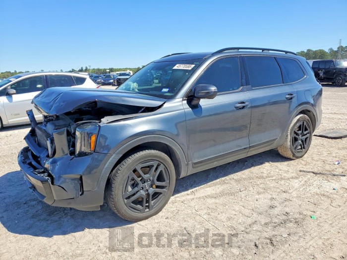 Kia Telluride 2024 VIN 5XYP3DGC2RG413459