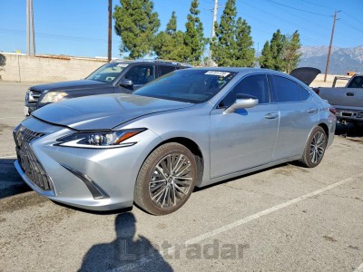 Lexus ES 2025 58ADA1C15SU070909