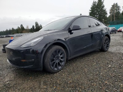 Tesla Model y 2024 7SAYGDEE3RF075884