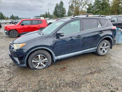 Toyota Rav 4 2016 2T3RFREV3GW497131