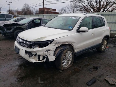 Volkswagen Tiguan 2013 WVGBV3AX9DW576238