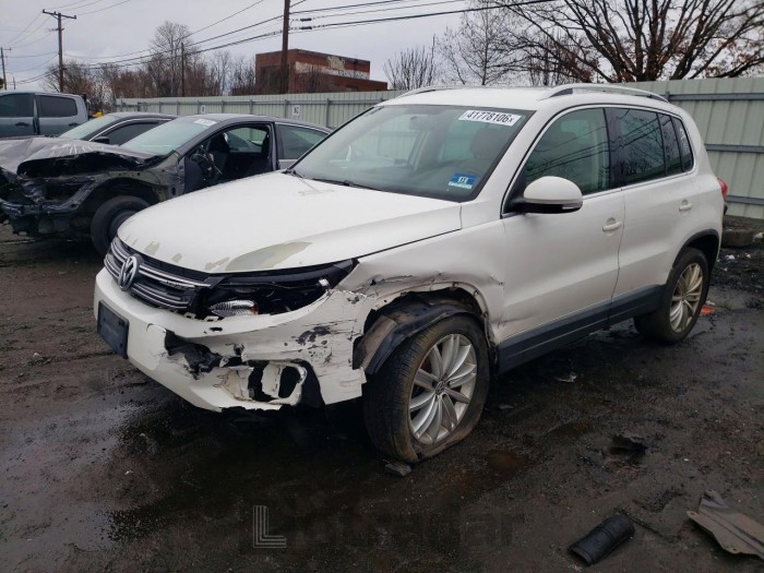 Volkswagen Tiguan 2013 VIN WVGBV3AX9DW576238