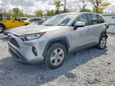 Toyota Rav 4 2019 JTMP1RFV4KD523925