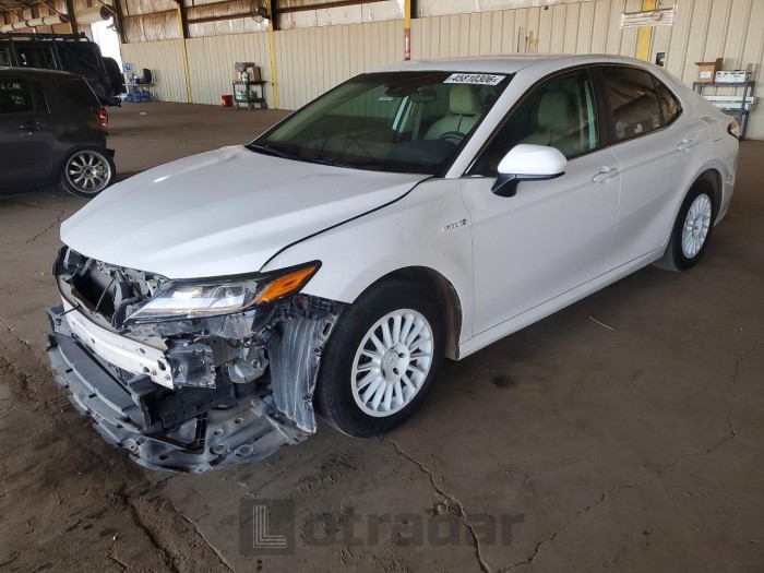 Toyota Camry solara 2019 VIN 4T1B31HK1KU005906