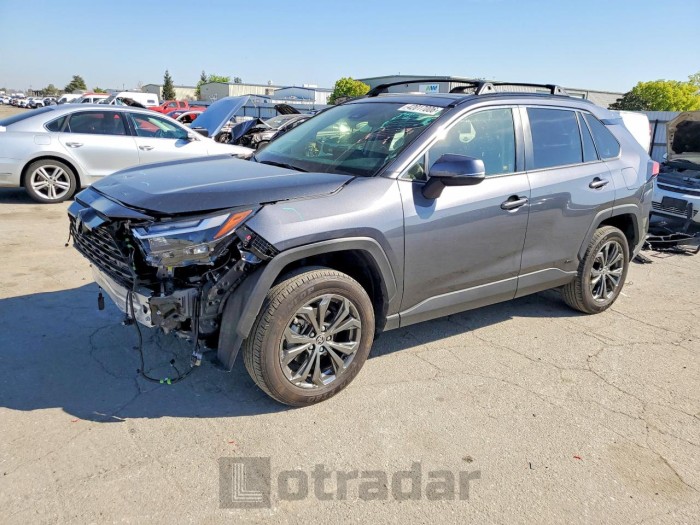 Toyota Rav 4 2024 VIN JTMB6RFV1RD131944