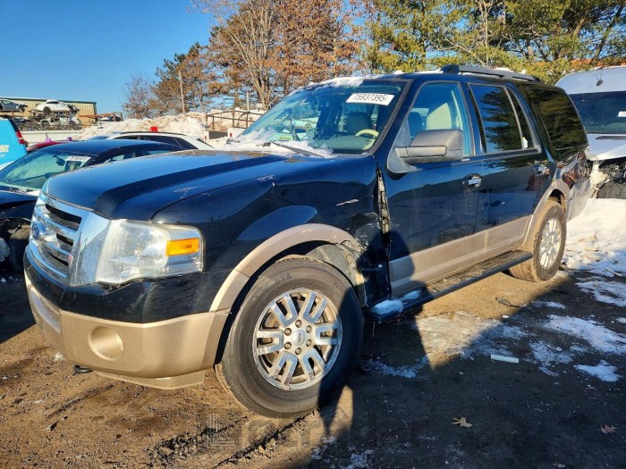 Ford Expedition 2012 VIN 1FMJU1J57CEF08316