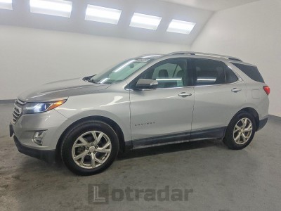 Chevrolet  2019 2GNAXNEV9K6160011