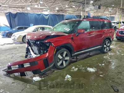 Hyundai Santa fe 2024 5NMP44GL2RH030799