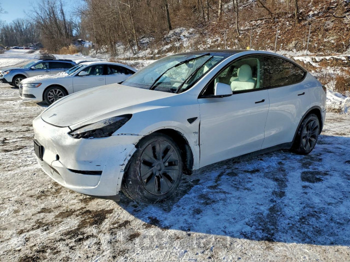 Tesla Model y 2024 VIN 7SAYGDEE1RF202664