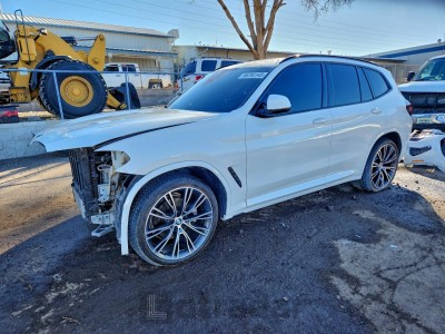 BMW X3 2023 5UX43DP06P9S25002
