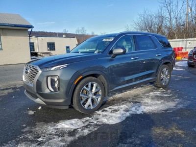 Hyundai Palisade 2021 VIN KM8R3DHE3MU265236