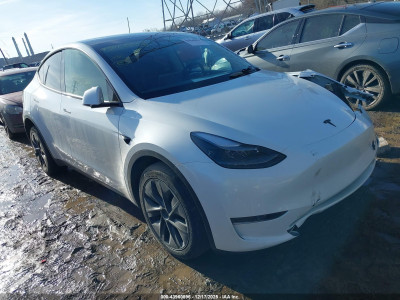 Tesla Model y 2024 7SAYGDED6RF156319