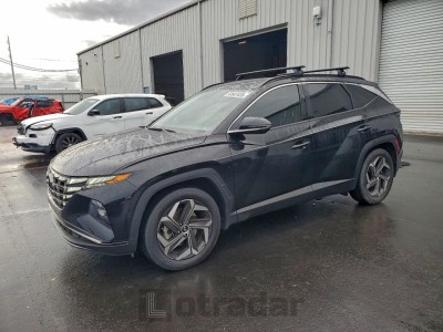 Hyundai Tucson 2024 5NMJE3DE2RH342415
