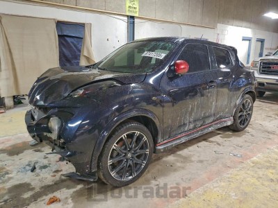 Nissan Juke 2013 VIN JN8AF5MVXDT231891