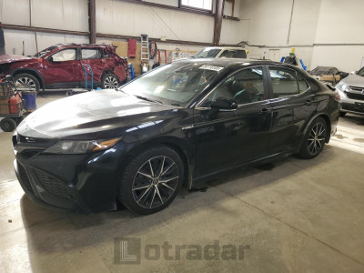 Toyota Camry 2021 4T1B21HK1MU015910