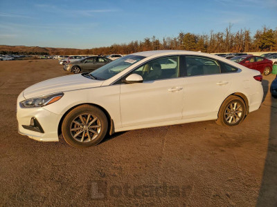 Hyundai Sonata 2019 5NPE24AF6KH733685