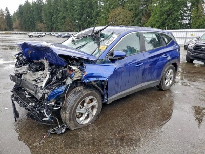 Hyundai Tucson 2023 5NMJACAE8PH234877