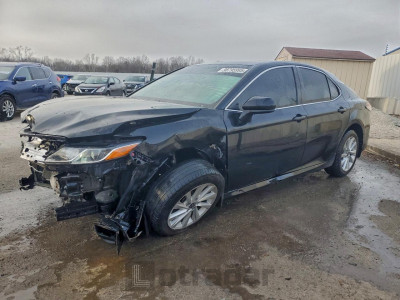 Toyota Camry 2022 4T1C11BK2NU051381
