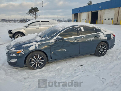 Chevrolet Malibu 2020 1G1ZG5ST0LF113416