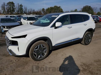 Hyundai Santa fe 2023 VIN 5NMS3DA11PH011758
