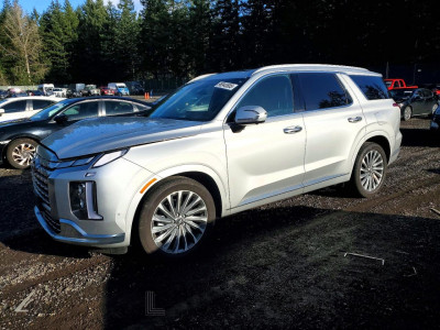 Hyundai Palisade 2024 KM8R7DGE4RU759361