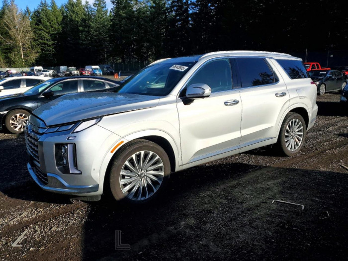 Hyundai Palisade 2024 VIN KM8R7DGE4RU759361