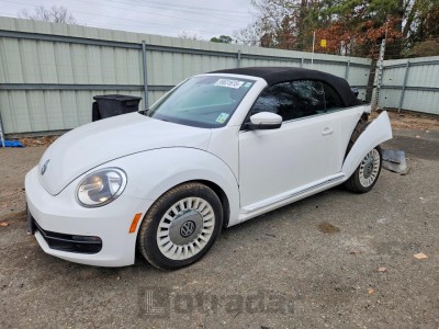 Volkswagen Beetle 2013 VIN 3VW5X7AT6DM815645