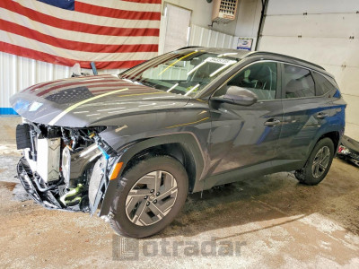 Hyundai Tucson 2025 KM8JBDD12SU369796