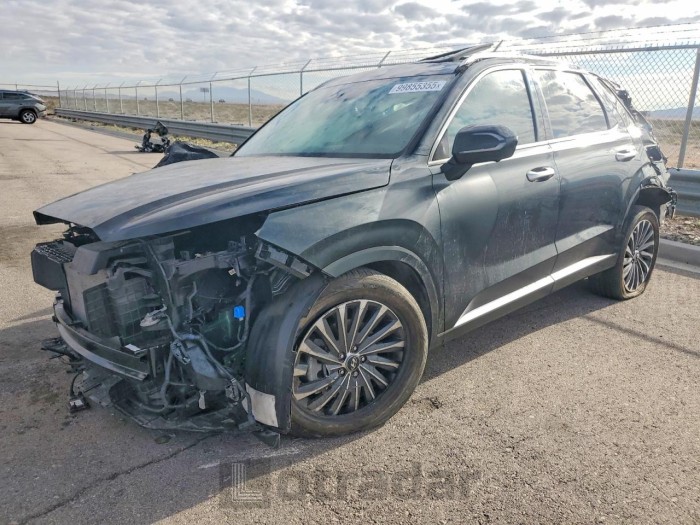 Hyundai Palisade 2024 VIN KM8R74GE1RU765800