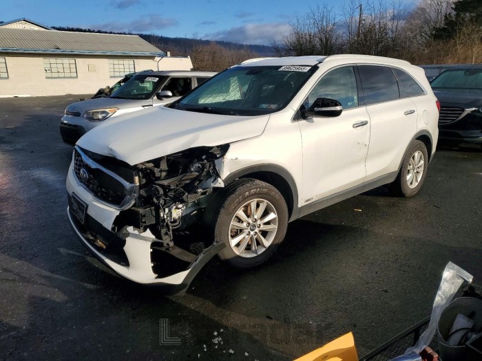 Kia Sorento 2019 VIN 5XYPGDA30KG435012