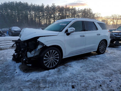 Hyundai Palisade 2023 KM8R7DGEXPU556746