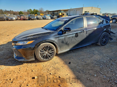 Toyota Camry 2020 4T1C11AK8LU917406