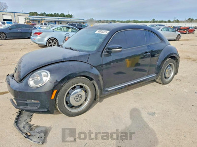 Volkswagen Beetle 2013 3VWJX7AT0DM608814