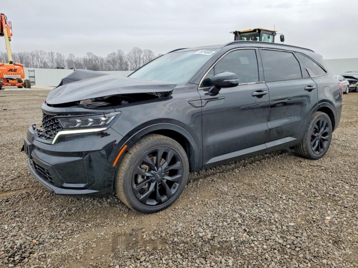 Kia Sorento 2022 VIN 5XYRK4LF0NG111352