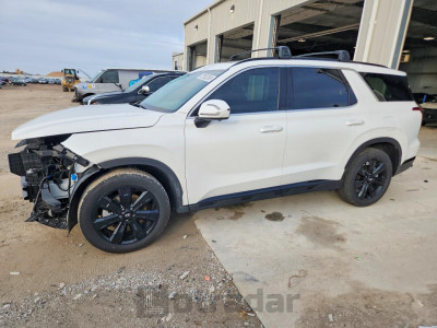 Hyundai Palisade 2025 KM8R3DGEXSU937033