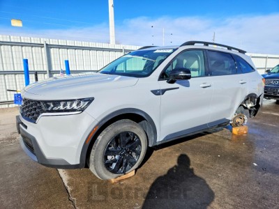 Kia Sorento 2023 VIN 5XYRLDLC6PG243473