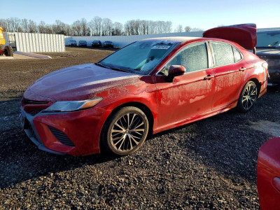 Toyota Camry 2020 4T1G11AK7LU359341