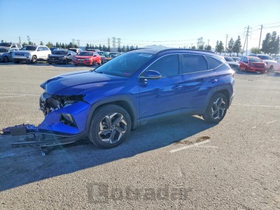 Hyundai Tucson 2024 5NMJECAE0NH075564