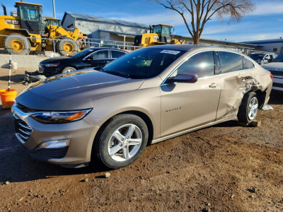 Chevrolet Malibu 2024 1G1ZB5ST3RF187792
