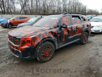 Kia Sorento 2024 5XYRKDJF4RG267385