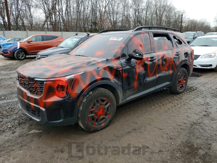 Kia Sorento 2024 VIN 5XYRKDJF4RG267385