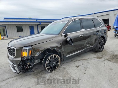 Kia Telluride 2024 VIN 5XYP54GC3RG545527