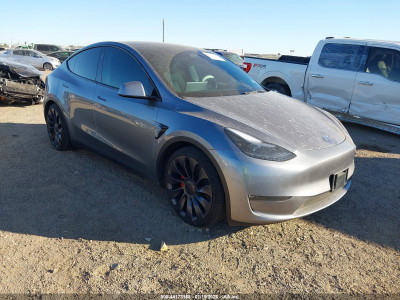 Tesla Model y 2025 7SAYGDEF8SA375691