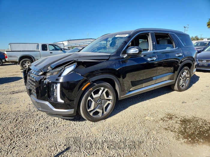Hyundai Palisade 2024 VIN KM8R54GE5RU727010