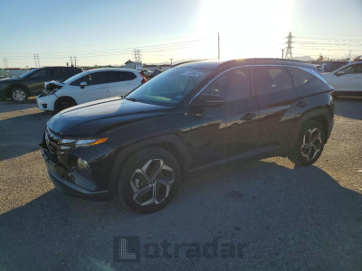 Hyundai Tucson 2024 5NMJF3DE1RH361387