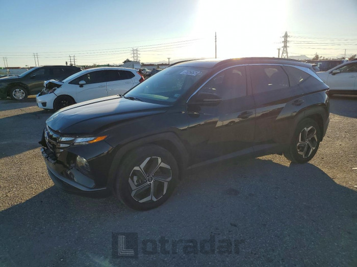 Hyundai Tucson 2024 VIN 5NMJF3DE1RH361387