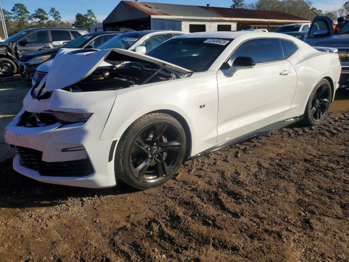 Chevrolet Camaro 2024 VIN 1G1FH1R71R0105709