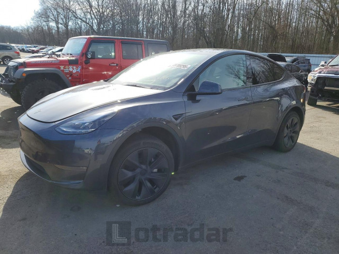 Tesla Model y 2024 VIN 7SAYGDEE0RA335199