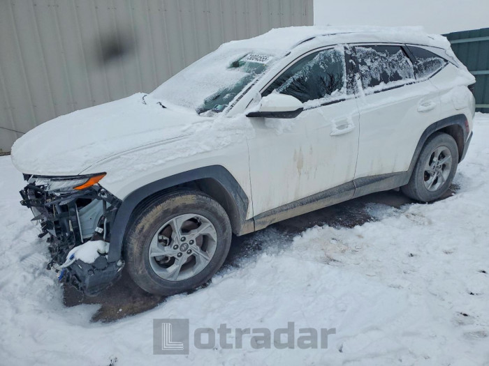 Hyundai Tucson 2024 VIN 5NMJBCDE4RH311434